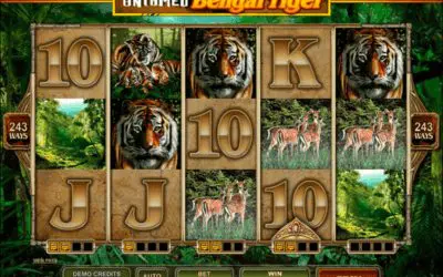 Green Machine Deluxe Power Bet Slot Review: Test Power Spins, Expand to Eight Rows and Chase Multipliers and Jackpots up to 4,000x