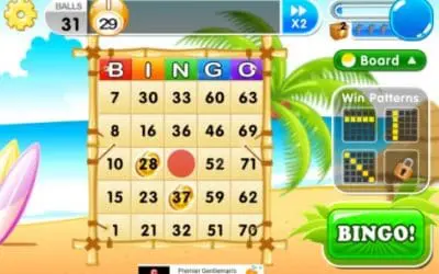 Discover the Thrill of Online Bingo: Play and Win from Anywhere!